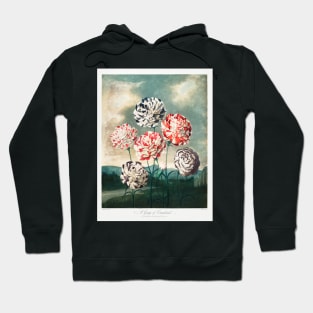 A group of Carnations Hoodie